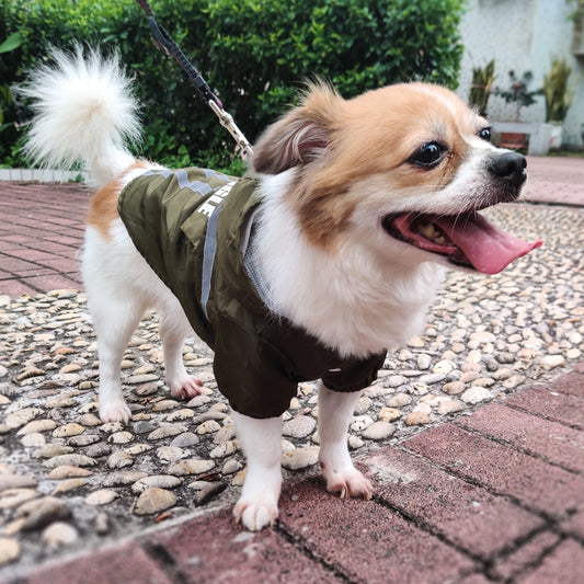 Reflective Strip Pet Raincoat in New Style