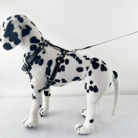 Stylish Adjustable Dog Camisole with Studded Leather Leash